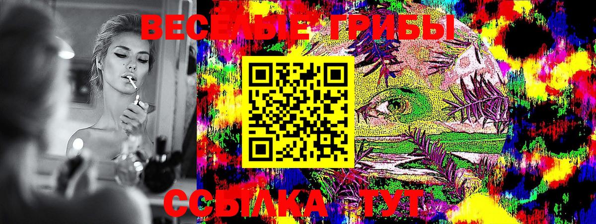 Псилоцибиновые грибы мицелий Бутурлиновка